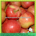 Fournisseur de pomme de gala rouge en Chine